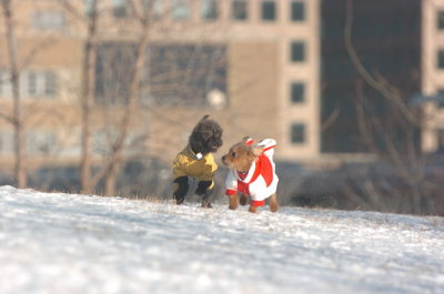 Feb9_07_099.JPG