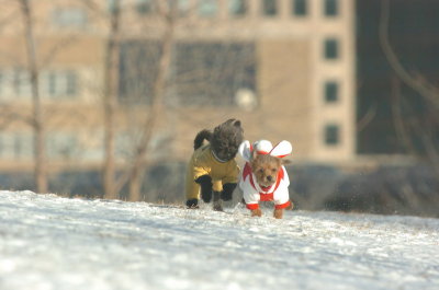 Feb9_07_100.JPG