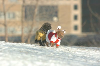 Feb9_07_101.JPG