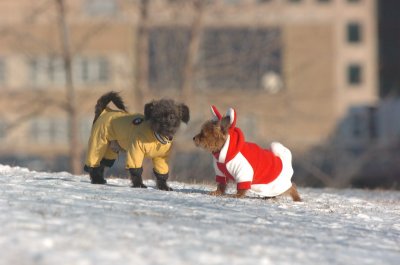 Feb9_07_102.JPG