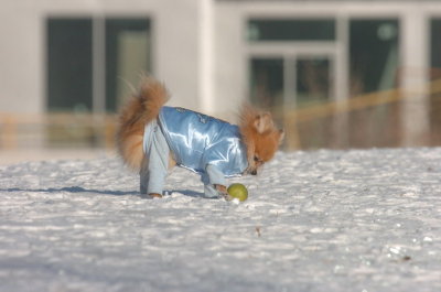 Feb9_07_109.JPG