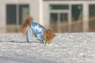 Feb9_07_110.JPG
