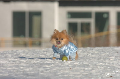 Feb9_07_113.JPG