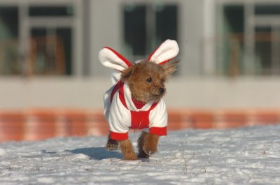 Feb9_07_117.JPG