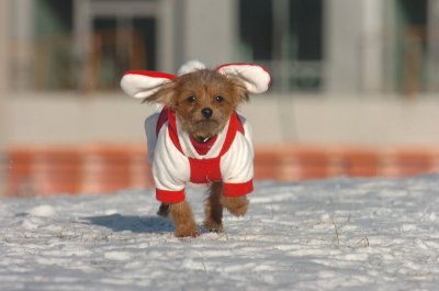 Feb9_07_119.JPG