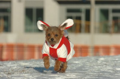 Feb9_07_120.JPG
