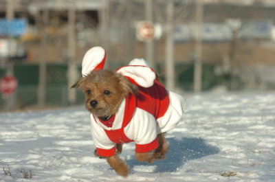 Feb9_07_121.JPG