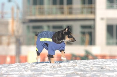 Feb9_07_122.JPG