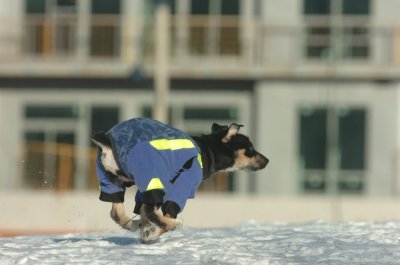 Feb9_07_123.JPG