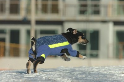 Feb9_07_124.JPG