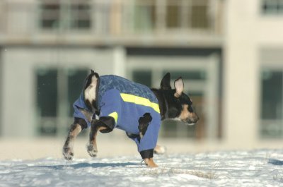 Feb9_07_126.JPG