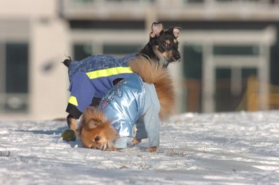 Feb9_07_129.JPG