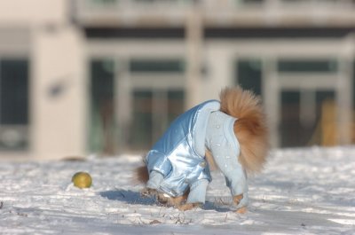Feb9_07_130.JPG