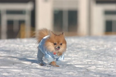 Feb9_07_131.JPG