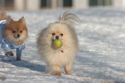 Feb9_07_132.JPG