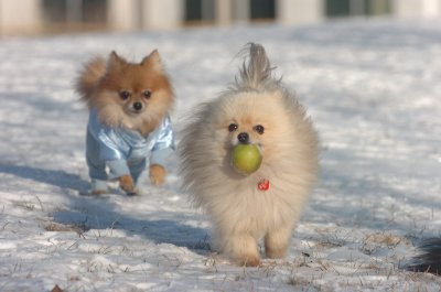 Feb9_07_134.JPG