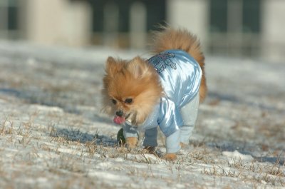 Feb9_07_136.JPG