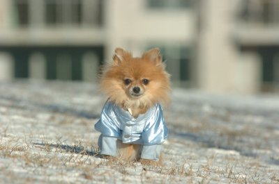 Feb9_07_137.JPG