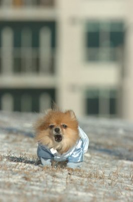Feb9_07_139.JPG
