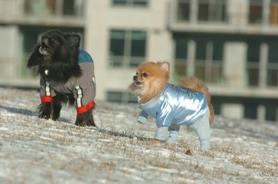 Feb9_07_142.JPG