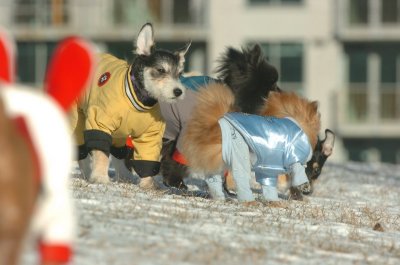 Feb9_07_143.JPG