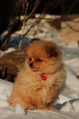Feb19_07_297.JPG