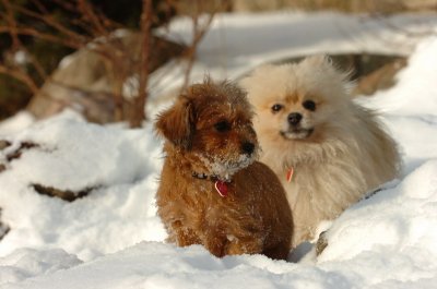 Feb19_07_067.JPG