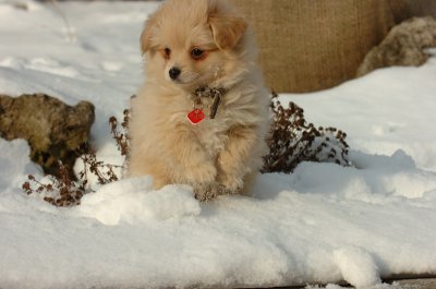 Feb19_07_077.JPG