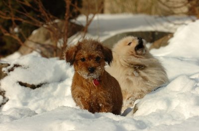 Feb19_07_079.JPG
