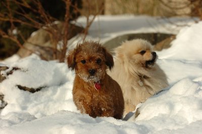 Feb19_07_080.JPG