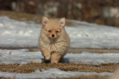 Feb21_07_1107.JPG