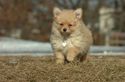 Feb21_07_1109.JPG