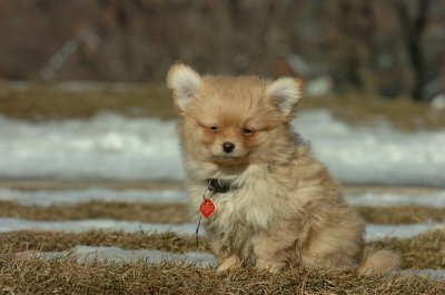 Feb21_07_1110.JPG