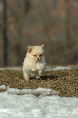 Feb21_07_1116.JPG