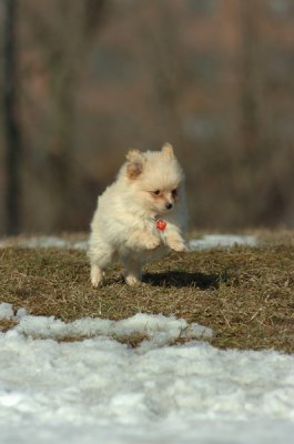 Feb21_07_1117.JPG