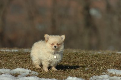 Feb21_07_1118.JPG