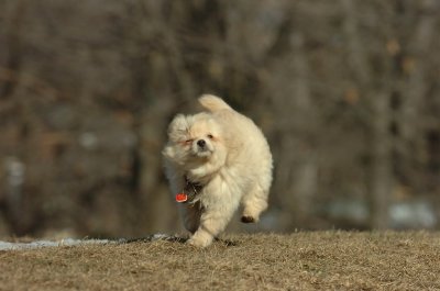 Feb21_07_1123.JPG
