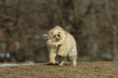 Feb21_07_1124.JPG