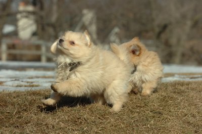 Feb21_07_1132.JPG