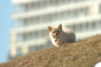 Feb21_07_1135.JPG
