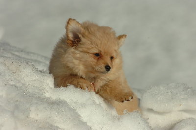 Feb21_07_1137.JPG