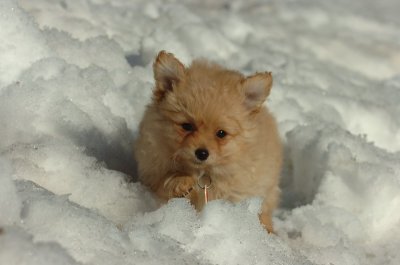 Feb21_07_1141.JPG