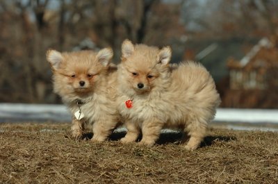 Feb21_07_1144.JPG