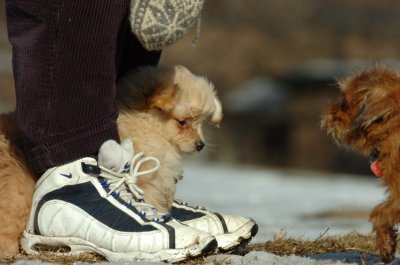 Feb21_07_1146.JPG