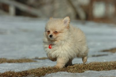 Feb21_07_1147.JPG