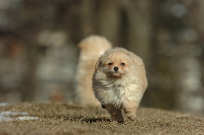 Feb21_07_1148.JPG
