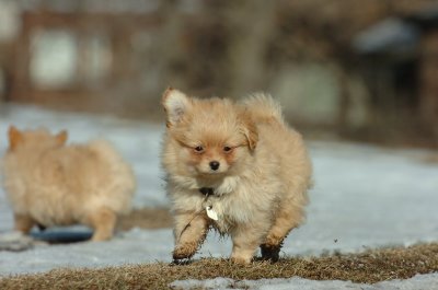 Feb21_07_1149.JPG