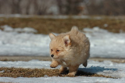Feb21_07_1177.JPG