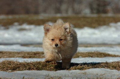 Feb21_07_1179.JPG