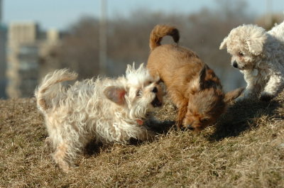 Feb21_07_1203.JPG